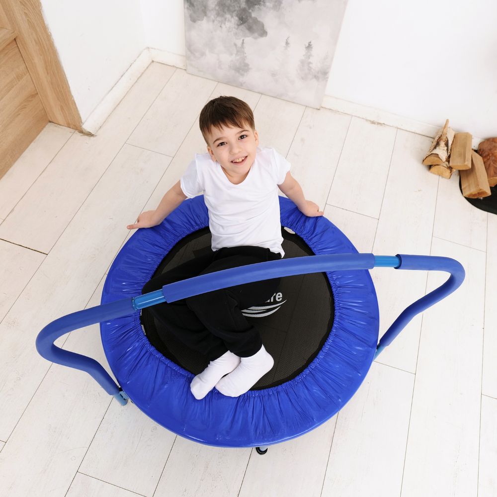 Батут с поручнем DFC Gardenature 36&#39;&#39; синий