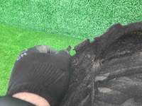 IMG_20260619_112736.JPG