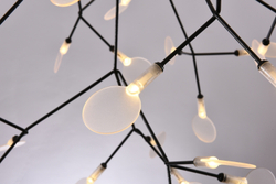 Люстра Heracleum D98