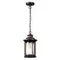 4961/1 NATURE ODL22 733 темно-коричневый/стекло Ландшафтный подвес E27 1*60W IP44 MAVRET