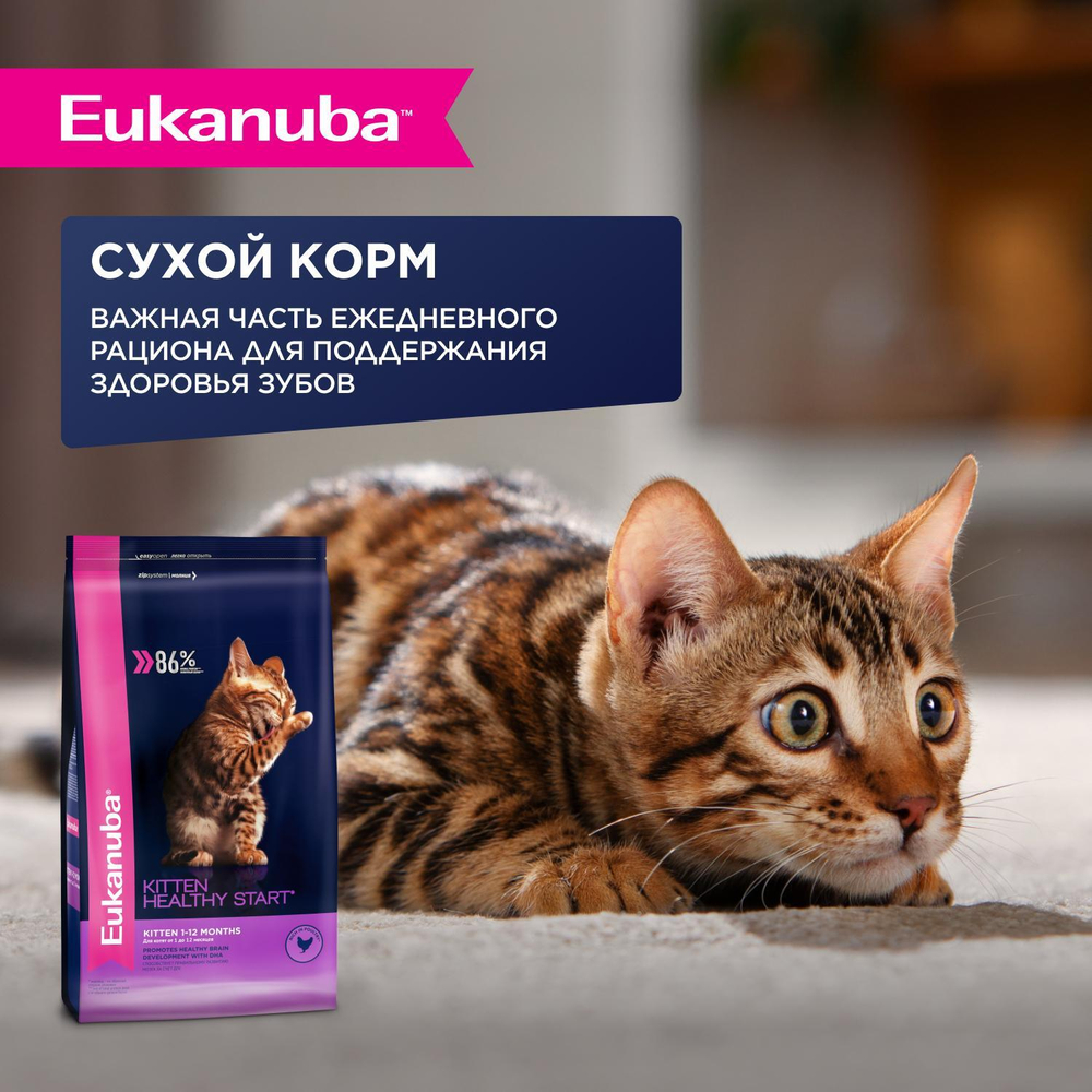 Eukanuba Kitten Healthy Start влажный рацион для котят 85 г