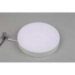 Потолочный светодиодный светильник Aployt Evon APL.0113.09.24