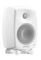 Genelec G Two BWM