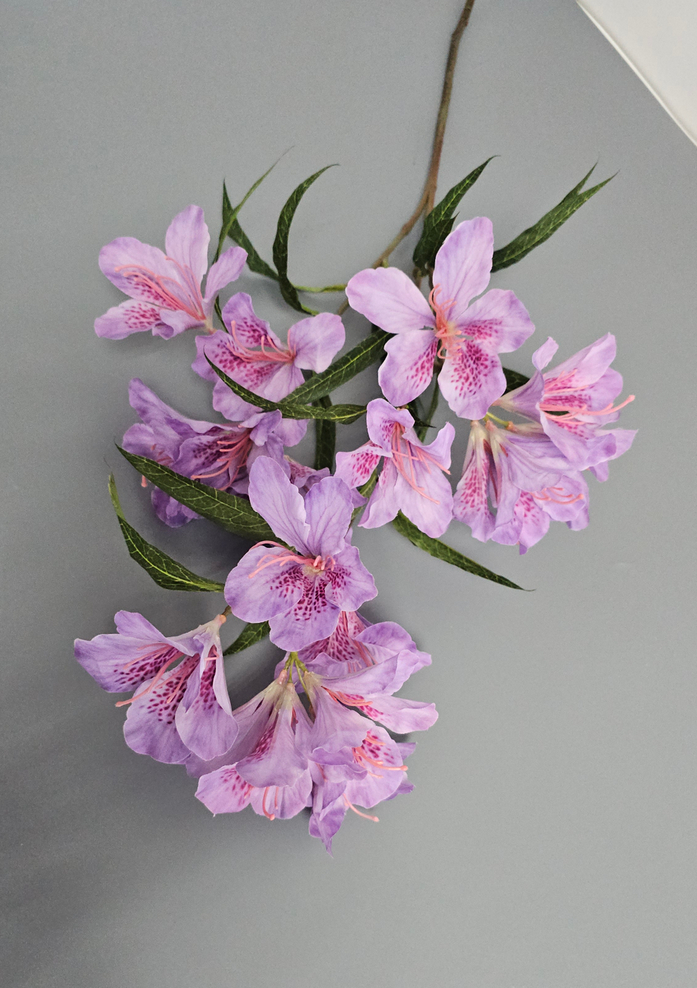 Альстромерия / Арт 2569