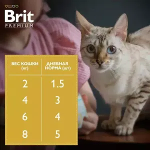 Пауч Brit Premium для взрослых кошек, лосось и форель в соусе