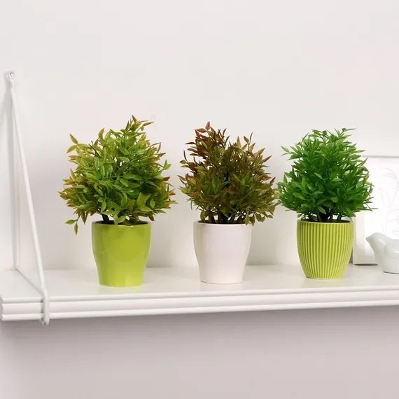 Бонсай "Кустовой" 7*18 см МИКС