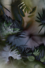 Дизайнерские обои Wall Street GreenDay-21