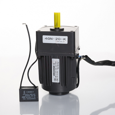 Мотор-редуктор конвейера (4RK25RGN-4GN20-K) для BS-4525A/BSF-5030LT