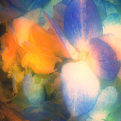 "Эликсир Арктурианских Фей"