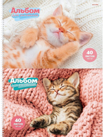 Альбом для рисования А4 40л. "Спящие котята" на гребне, 2 дизайна (Проф-Пресс)