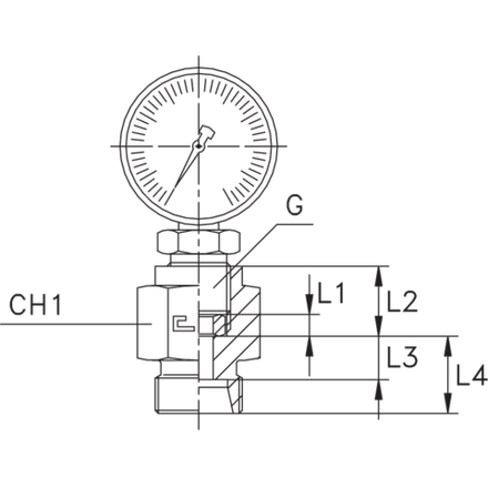 Штуцер DS08 BSP1/2" CAST