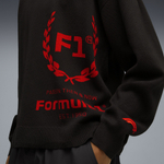 Мужской свитшот PUMA F1 Knitted Crewneck 75yrs