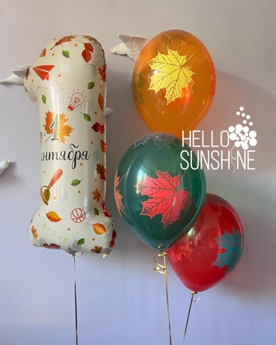 Набор Шаров  на 1 сентября №12