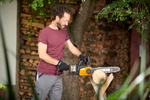 Пила сетевая WORX WG307E JawSaw