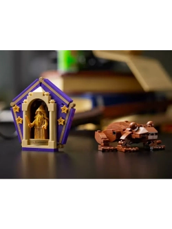 Конструктор Гарри Поттер Большая букля Символы Хогвартса