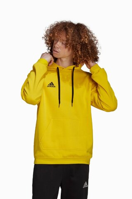 Кофта adidas Entrada 22 Sweat