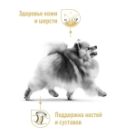 Сухой корм Royal Canin "Pomeranian Adult", для собак породы померанский шпиц в возрасте от 8 месяцев, 500г