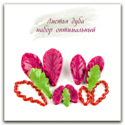 Листья дуба. Набор оптимальный