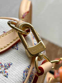 Louis Vuitton Speedy 20