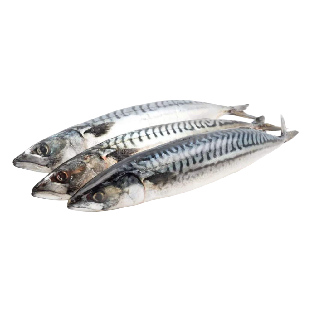 Скумбрия с/м б/г 200-300,вес
