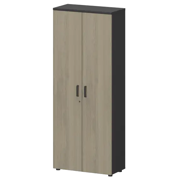 Шкаф для одежды СМШ-58ШД Тип1  792x380x1990 Смарт