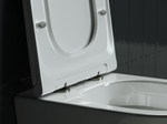 Комплект подвесной безободковый унитаз Ceramica Nova Forma с крышкой-сиденьем CN3011 + инсталляция Geberit Duofix UP320 111.300.00.5
