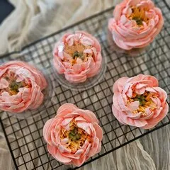 Зефир «Пион коралловый»