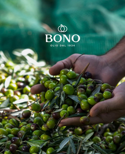 Оливковое масло BONO I.G.P. SICILIA 750ml, Сицилия