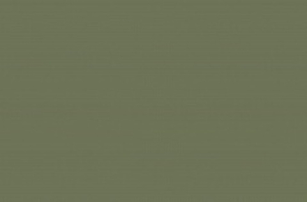 Олива ЛДСП 10 (1шт)