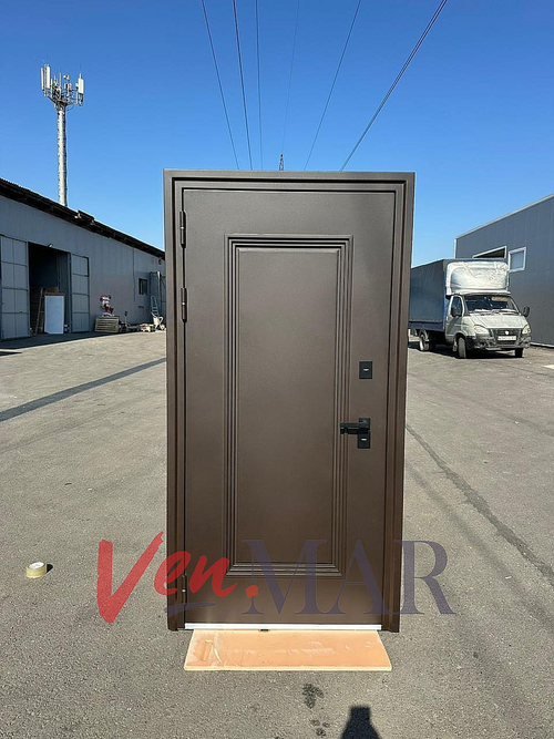 Дверь входная Астерия терма/муар меланж кортен