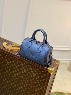 Louis Vuitton Speedy 20