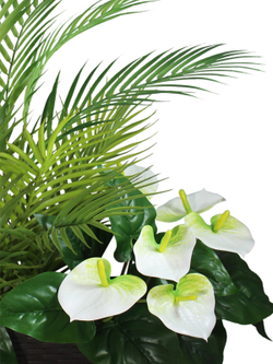 Искусственная пальма с антуриумами 75см в кашпо ротанг