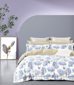 Постельное белье 2 спальное евро Asabella 2165-6