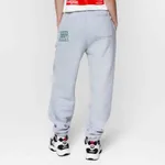 Спортивные штаны Dissident Sportive Goods серые