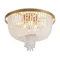 Потолочный светильник Орнамент / Ornament Freya fr1008cl-06bs