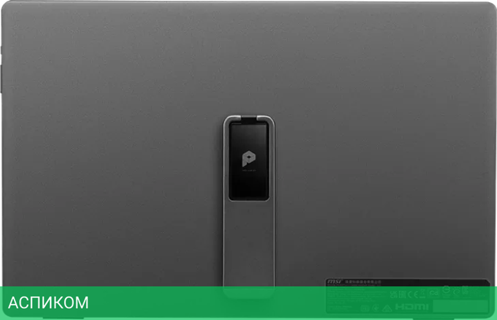 Портативный монитор MSI Pro MP161