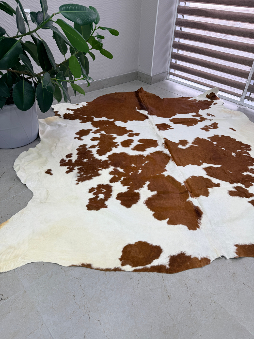 Коровья шкура на пол натуральная. 200 х 190 см