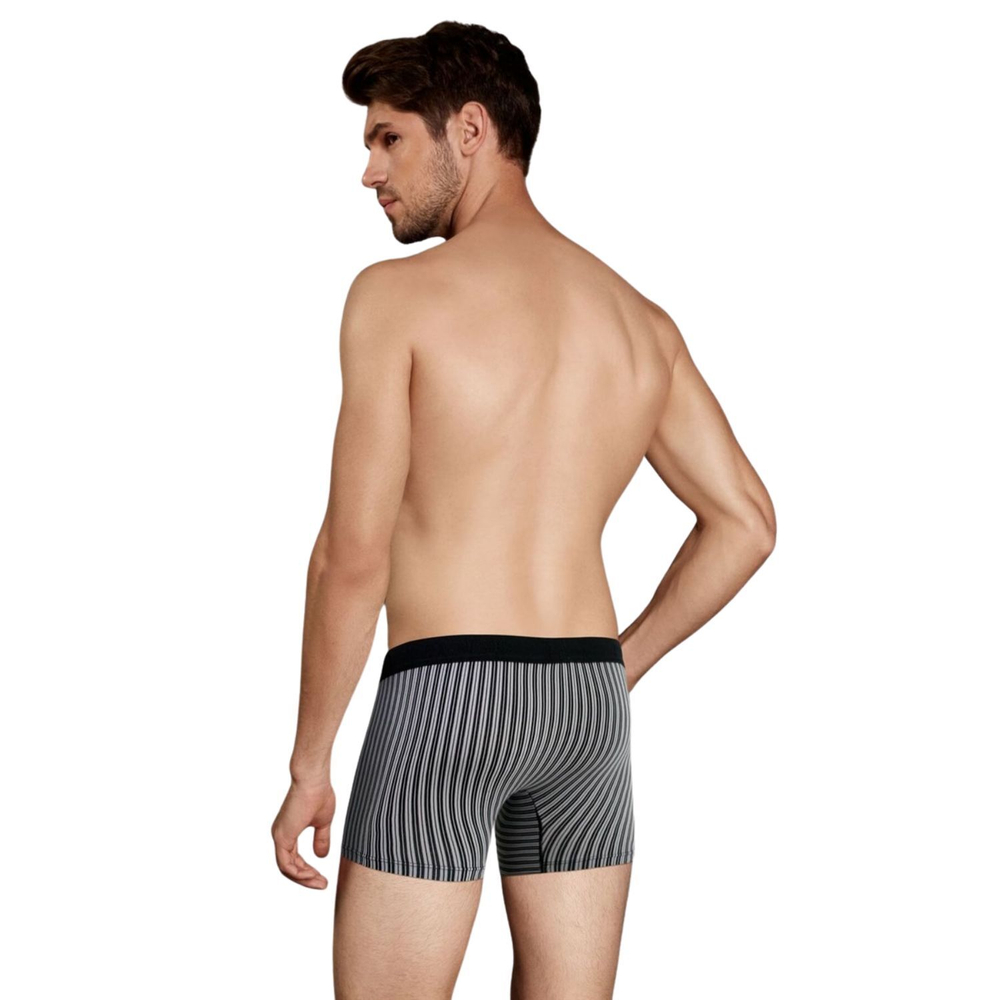 Мужские трусы-боксеры в полоску Doreanse Stripes (Размер: S) (Цвет: черный)