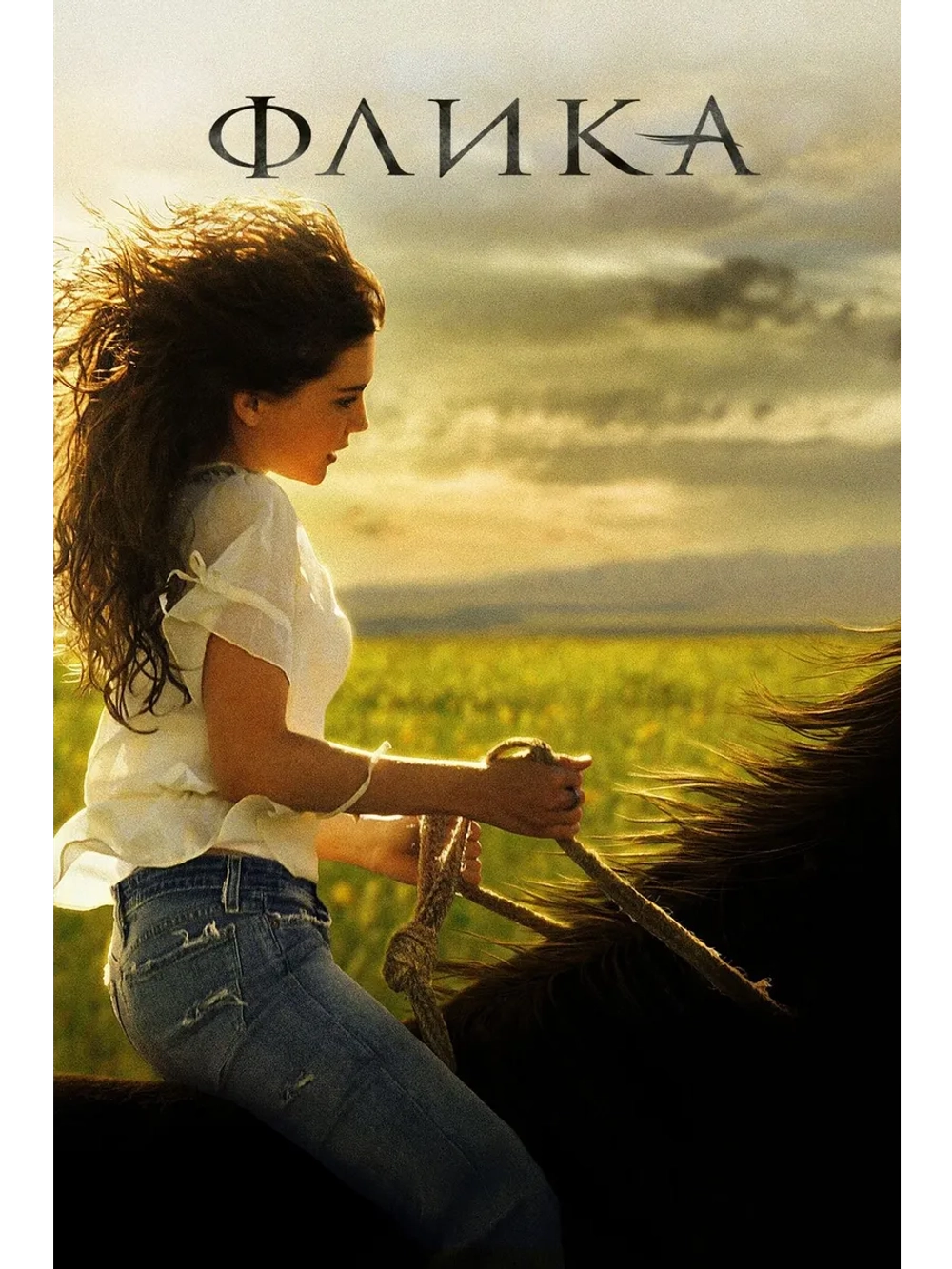 Флика (2006) (DVD-R)