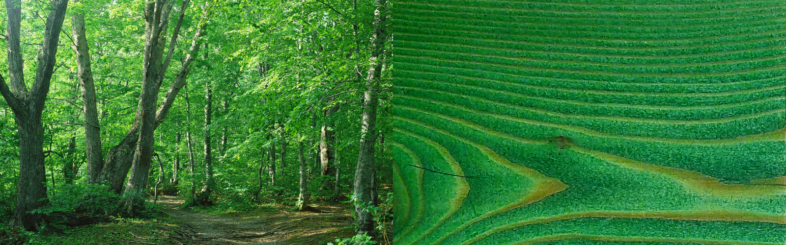 Интернет-магазин gappa-shop.ru