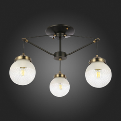 Светильник потолочный Evoluce Stricce SLE110302-03