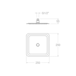 Квадратная насадка для верхнего душа HYDROTHERAPY RK250