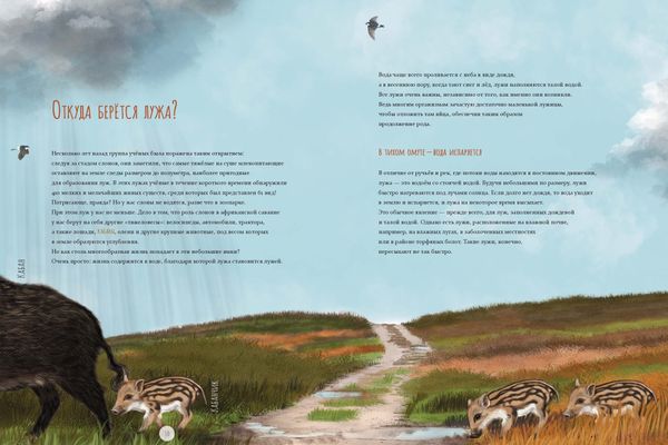 Лужа. Открываем многообразие мира, скрытого от нашего взора