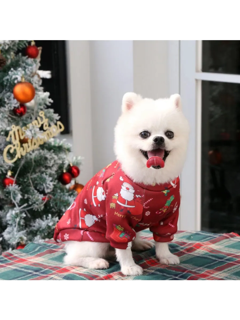 Новогодняя кофта для собак
