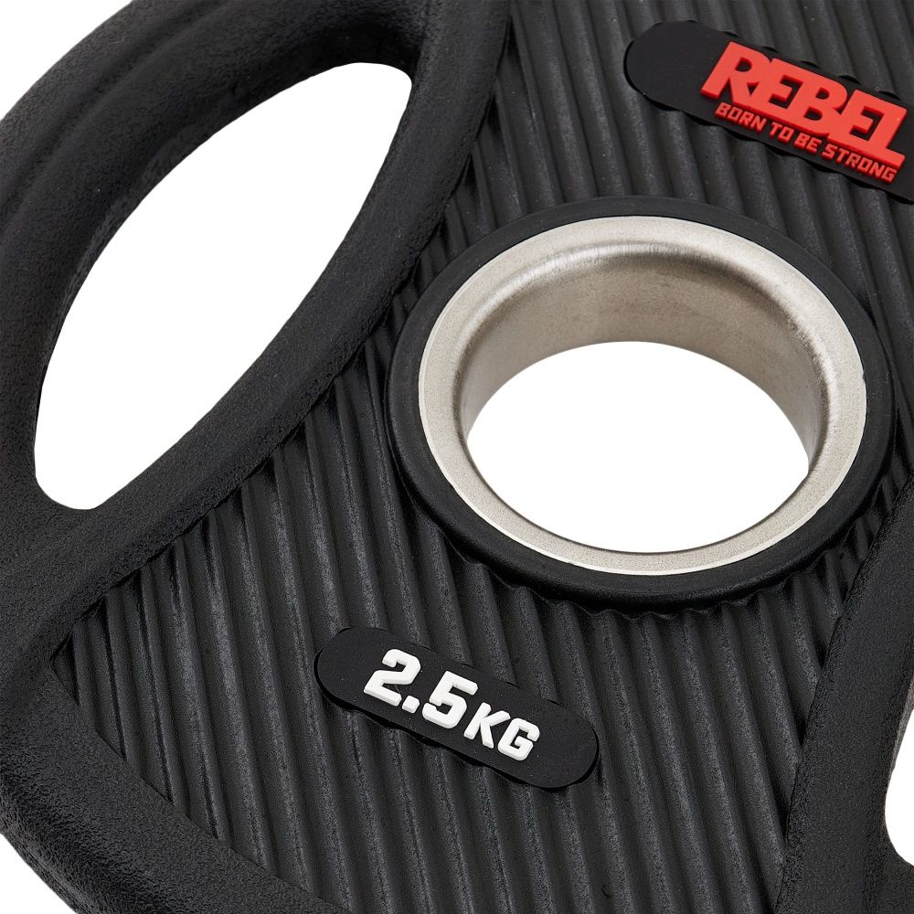 Диски олимпийские обрезиненные с двумя хватами 2,5 кг REBEL (пара)