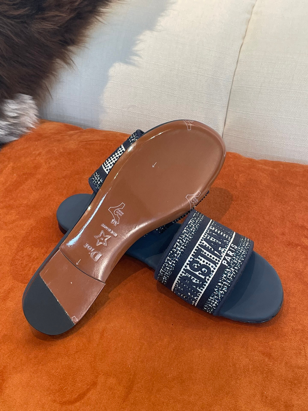 Christian Dior Dway Slide