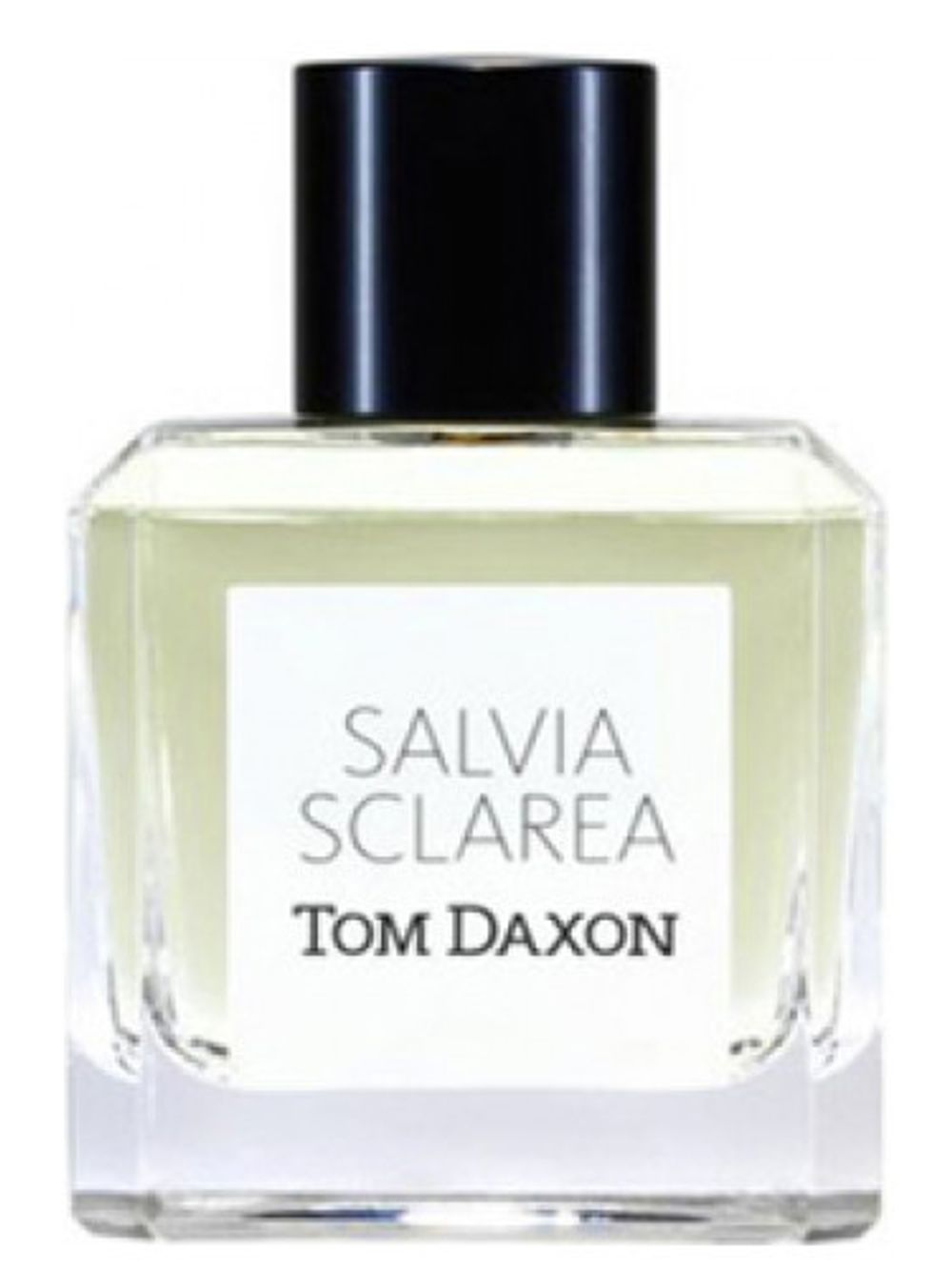 Tom Daxon Salvia Sclarea