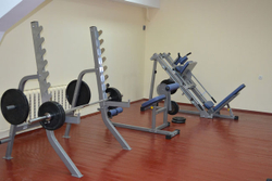 Impulse IFABM профессиональный тренажер для спины и пресса