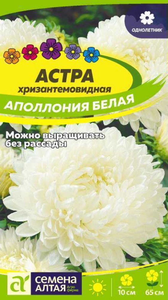Астра хризантемовидная &quot;G. Аполлония Белая&quot; 0,2г., Россия.
