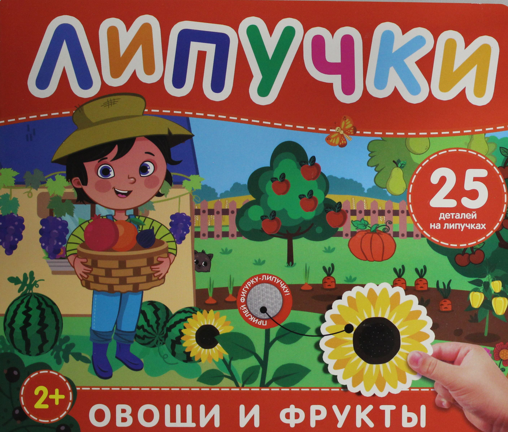 Овощи и фрукты. Книга с липучками